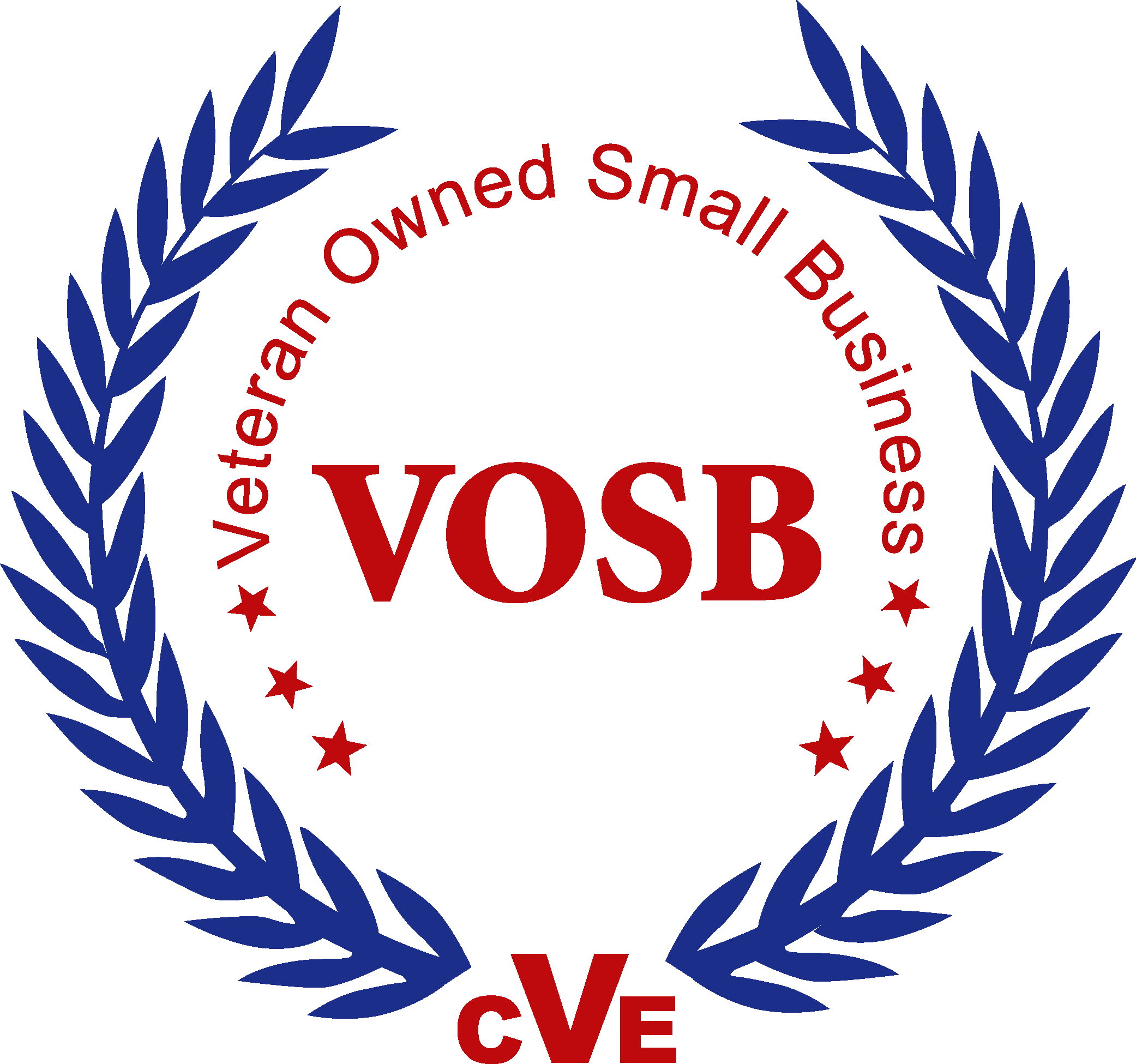 US Government Veteran Owned Small Business certification graphic